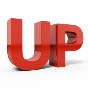 宠物洋葱中毒症状识别与急救技巧